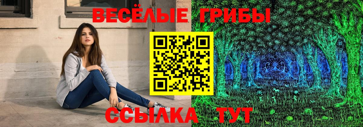 Галлюциногенные грибы мицелий  Вход с VPN  Шелехов  Псилоцибиновые грибы GOLDEN TEACHER 
