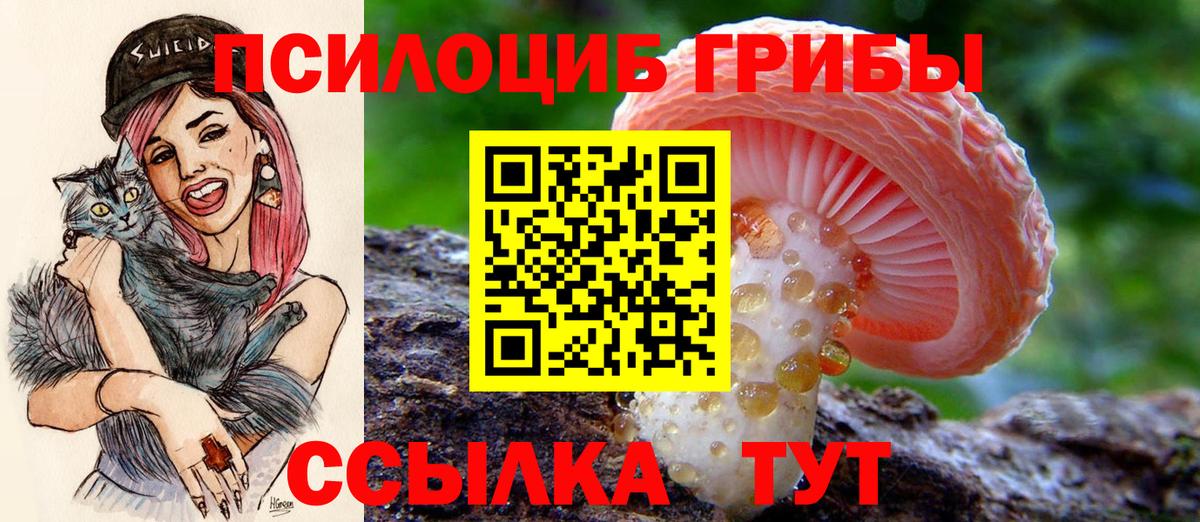 Галлюциногенные грибы Magic Shrooms Шелехов